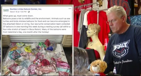 Protecting Paradise: FAU apparel store not selling balloons