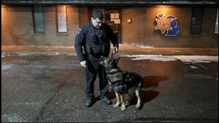 Eaton County K-9 Tank saved the day twice; shares bond with his Deputy