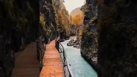 naturelovers