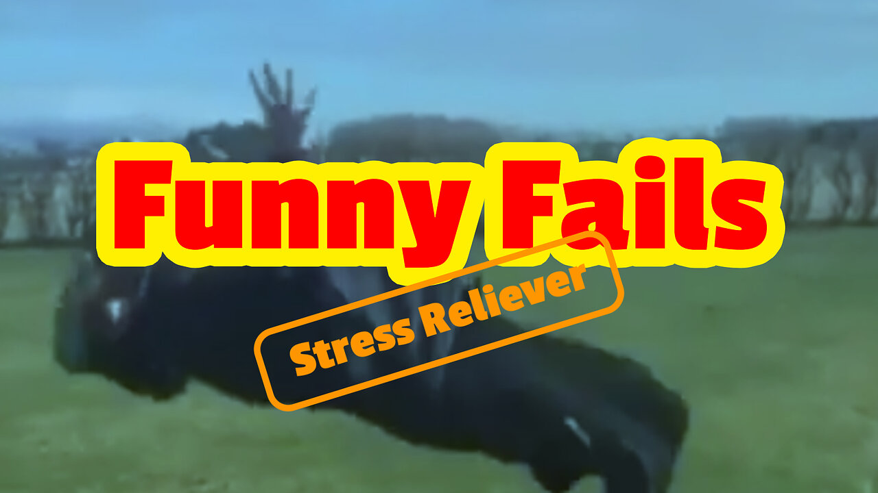 Funny Idiot Fails - Stress Reliever