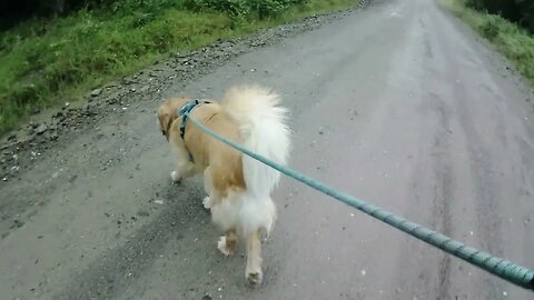 July 17th, overcast and humid