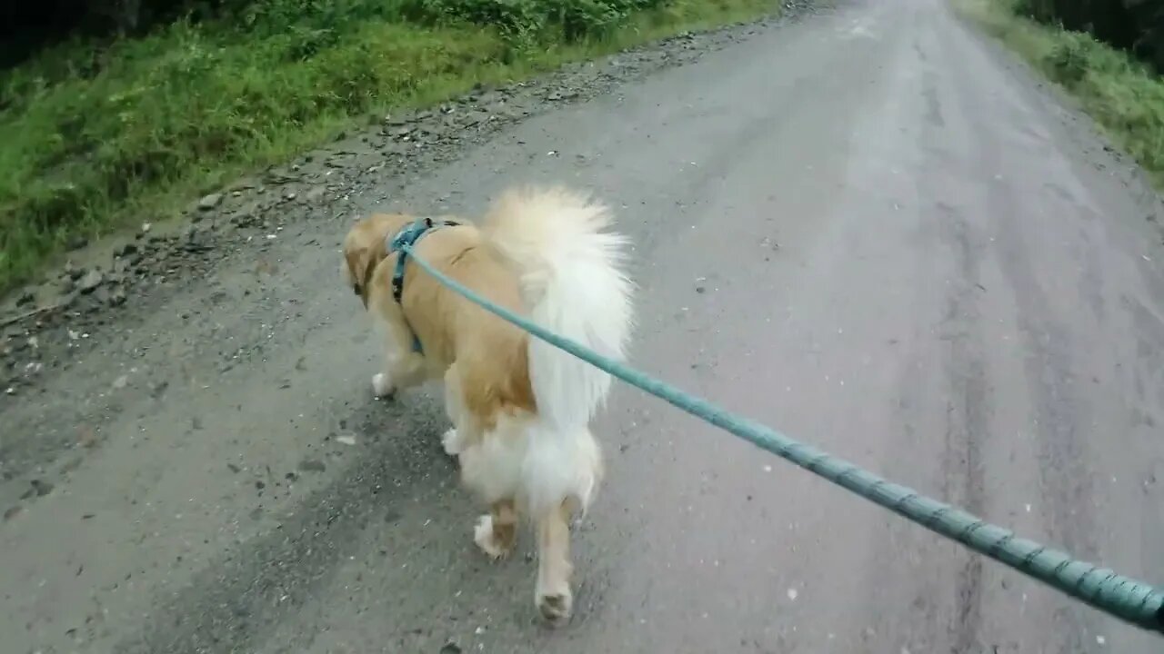 July 17th, overcast and humid