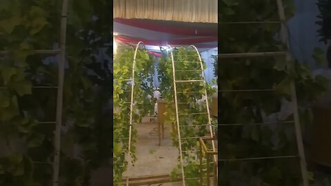 Alhamdulillah Dekorasi siap!!! INTIP Persiapan Pernikahan H-1 Pernikahan #Putro_Lurah