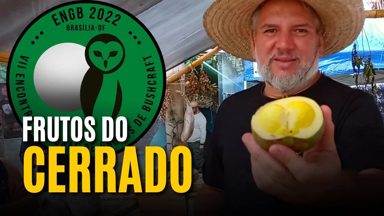 FRUTOS DO CERRADO - VII ENGB - Feat. HÉLIO MARINHO