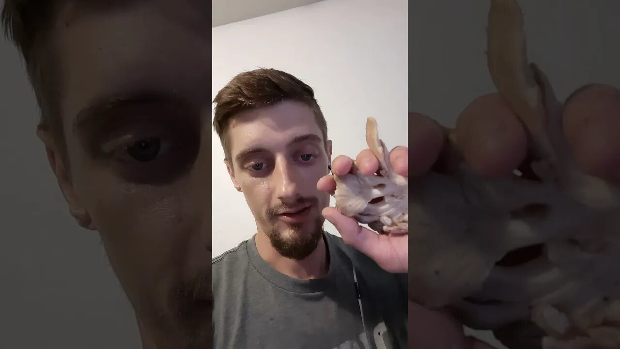 Hen Of The Woods (Find,Clean,Cook) #mushroom