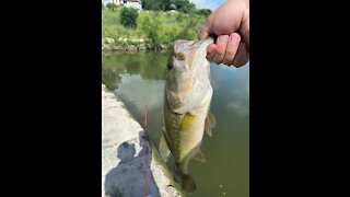 2 Ways I Use A Texas Rig To Catch More Bass