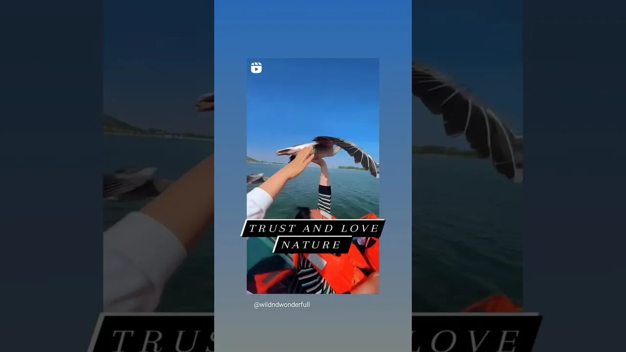 Trust and love Nature.. please subscribe