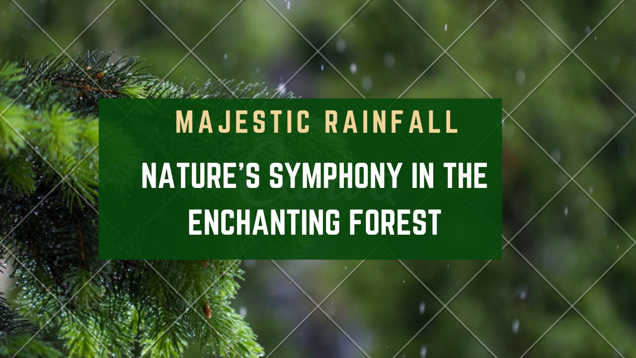 Majestic Rainfall: Nature's Symphony in the Enchanting Forest