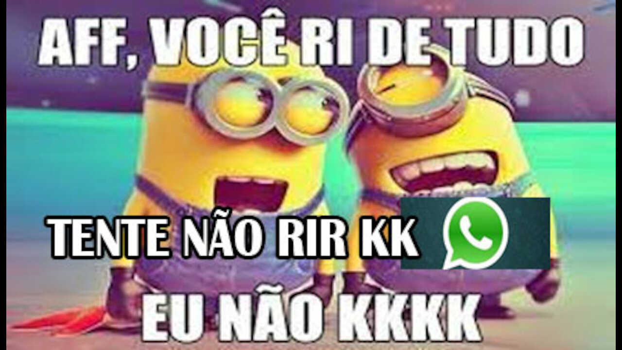 Os Melhores Vídeos Engraçados Do Wat Zap
