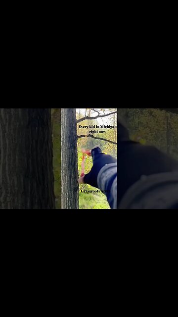 Michigan boy saves sister by hitting possible kidnapper with slingshot, police say