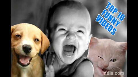 Top 20 Funniest Videos That Broke the Internet