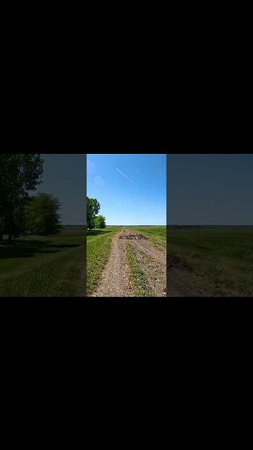 Calugareni Forest | Calugareni, Giurgiu | Ambiental music | 4k Virtual Tour | 🇷🇴