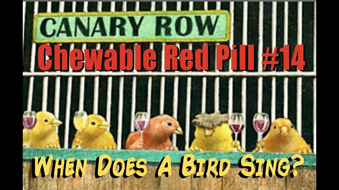 💊CHEWABLE RED PILL #14: Q PROOF! 🐤When Does A Bird Sing?