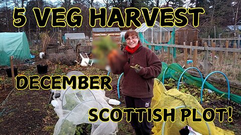 What can you harvest from a Scottish garden in December?!