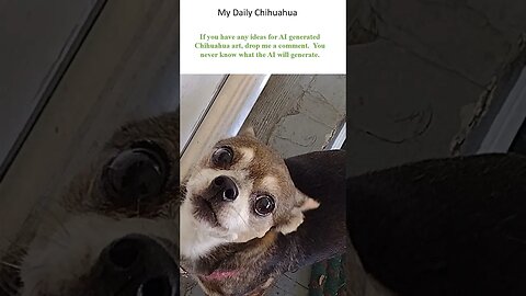 Chihuahuas in National Hug day. What will the ai create? #shorts