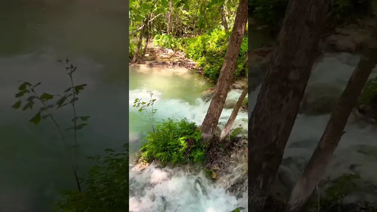 Would you swim in mountain spring water in Mexico?