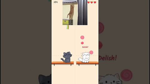 Duet cat like a pappy #shorts #music #cat