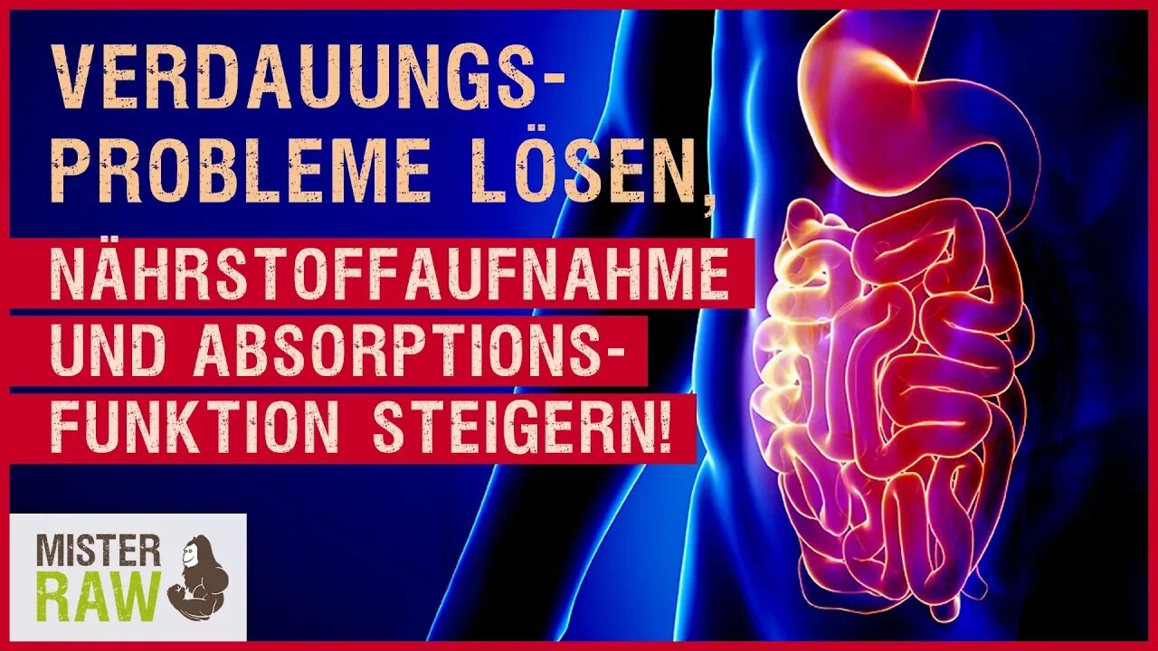 So löst du Verdauungsprobleme und steigerst Nährstoffaufnahme und Absorptionsfunktion!