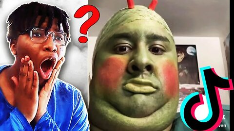 THESE ARE THE STRANGEST TIKTOKS ON THE INTERNET