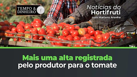 Mais uma alta registrada pelo produtor para o tomate