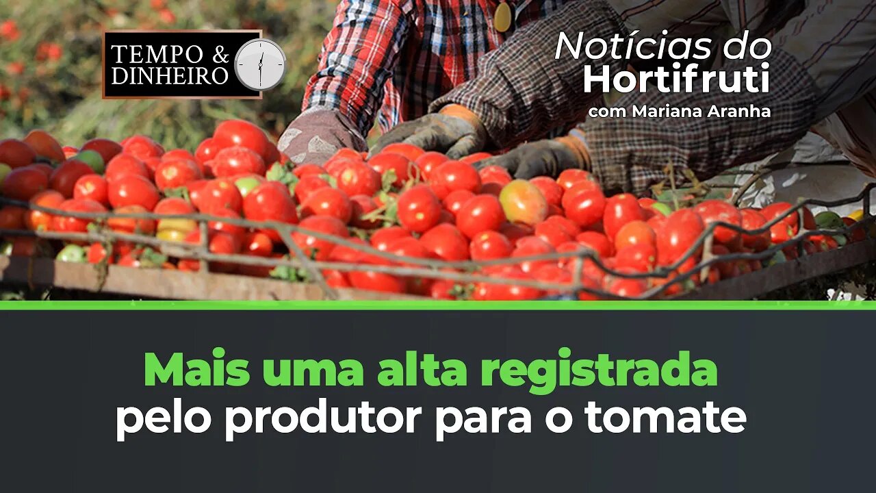 Mais uma alta registrada pelo produtor para o tomate