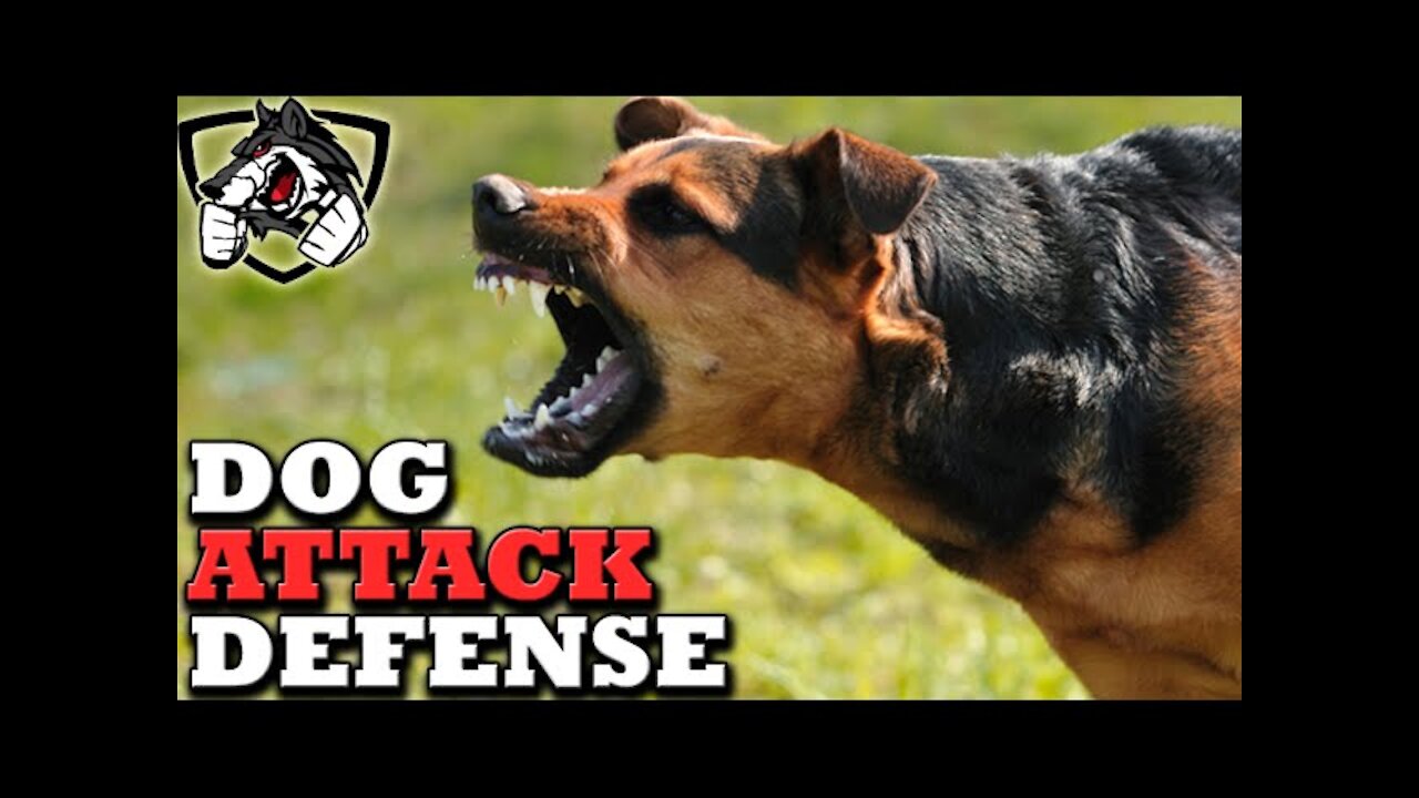 Self defense against dog attack. Learn how to defend yourself against agressive dog.