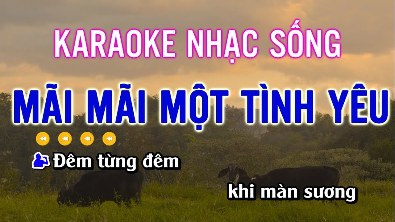 Mãi Mãi Một Tình Yêu Karaoke Beat Nhạc Sống ( Tone Nam ) Mới 2019 Karaoke Andy