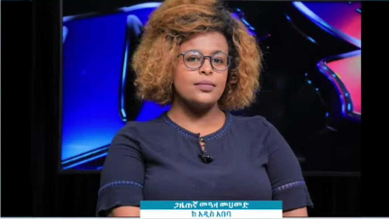 የእስክንድር ነጋ የፍርድ ቤት ውሎ ሁላችንንም ያስገረመ ነበር - መዓዛ መሀመድ