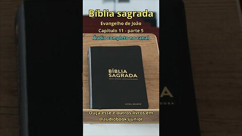 Bíblia Sagrada - Evangelho de João - Capítulo 11 - parte 5