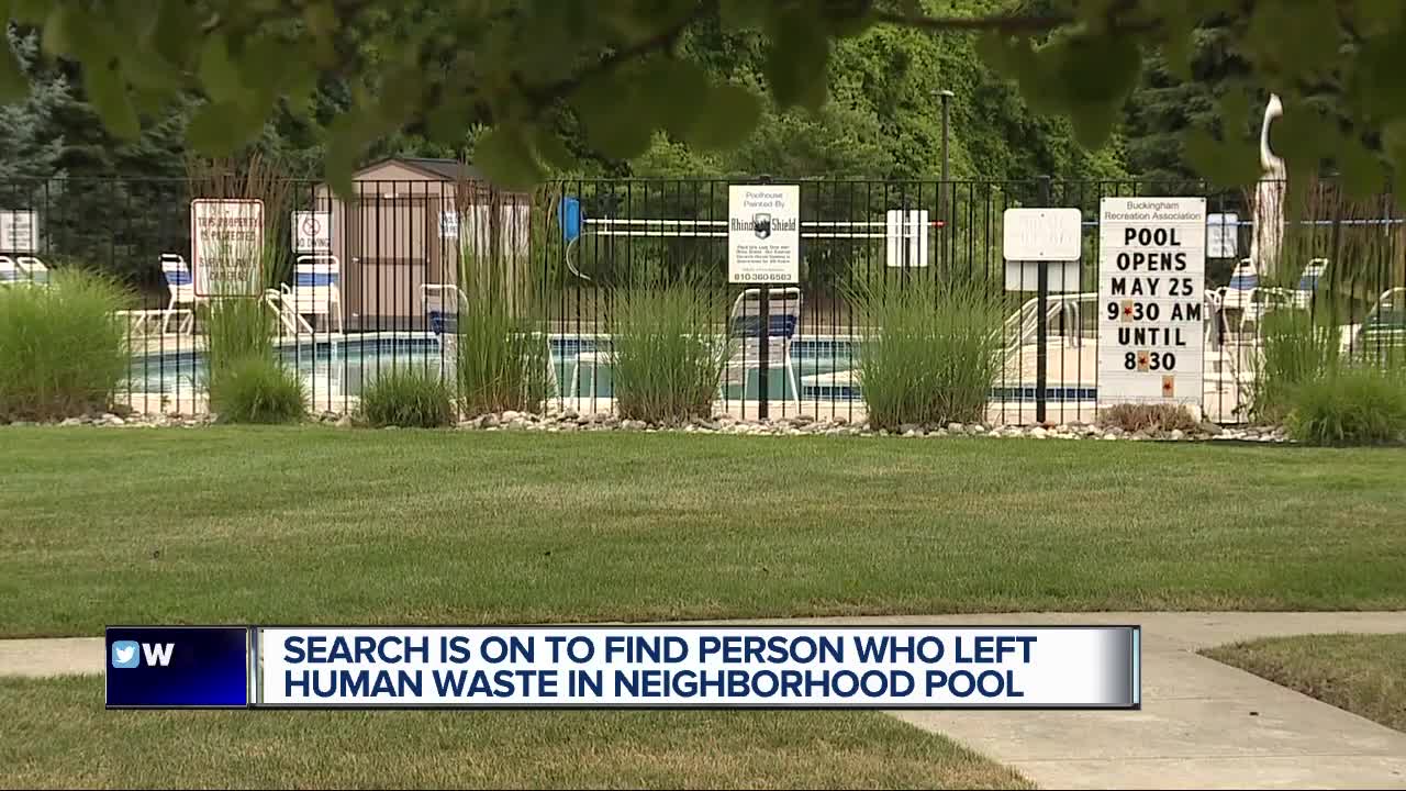 'Someone has been defecating in the pool,' search on to find person who left human waste in neighborhood pool