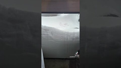 Canadian Snow Storm #snowstorm #snow #canada