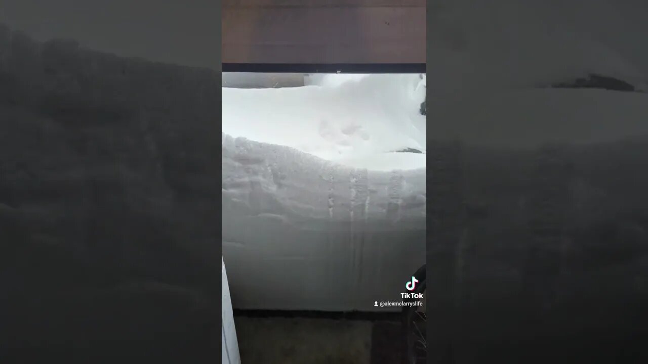 Canadian Snow Storm #snowstorm #snow #canada