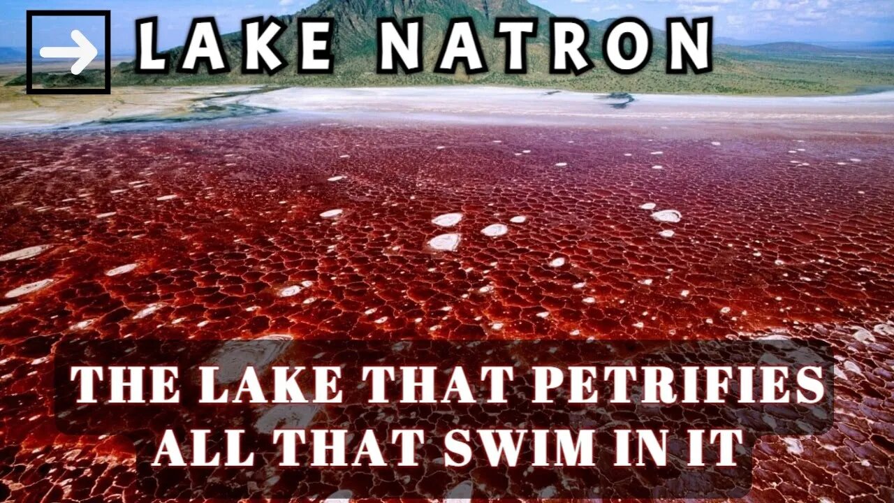 LAKE NATRON THE LAKE THAT PETRIFIES ALL THAT SWIM IN IT | Lake Turns Animals into Stone | Science