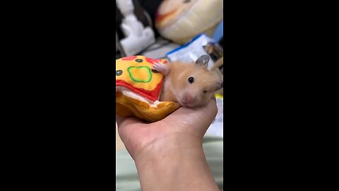 the mouse