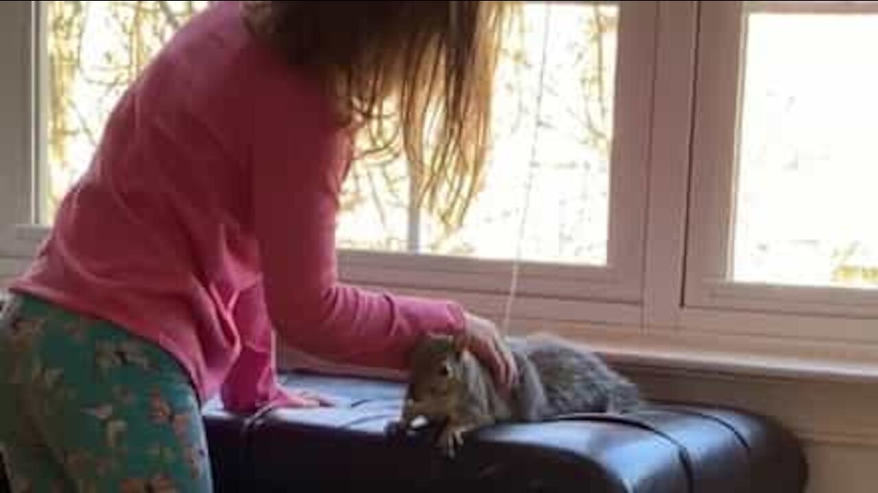 Cette petite fille et son écureuil sont meilleurs amis