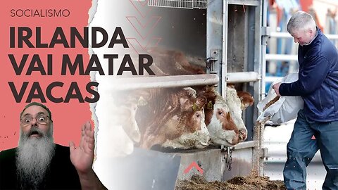 IRLANDA abraça o SOCIALISMO matando 200K VACAS e criando LEI ORWELLIANA para DISCURSO de ÓDIO