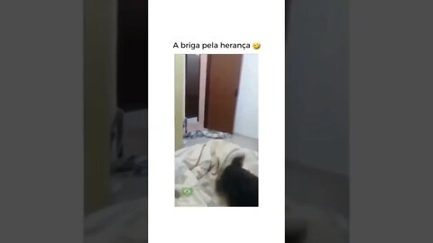 Briga pela herança