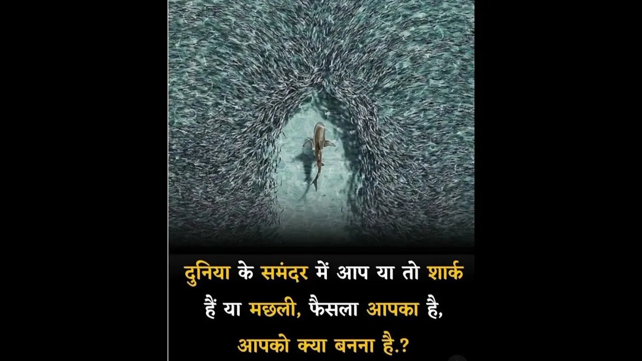 #success #motivation if #trending #shortvideo now a #business to #lifechangingquotes