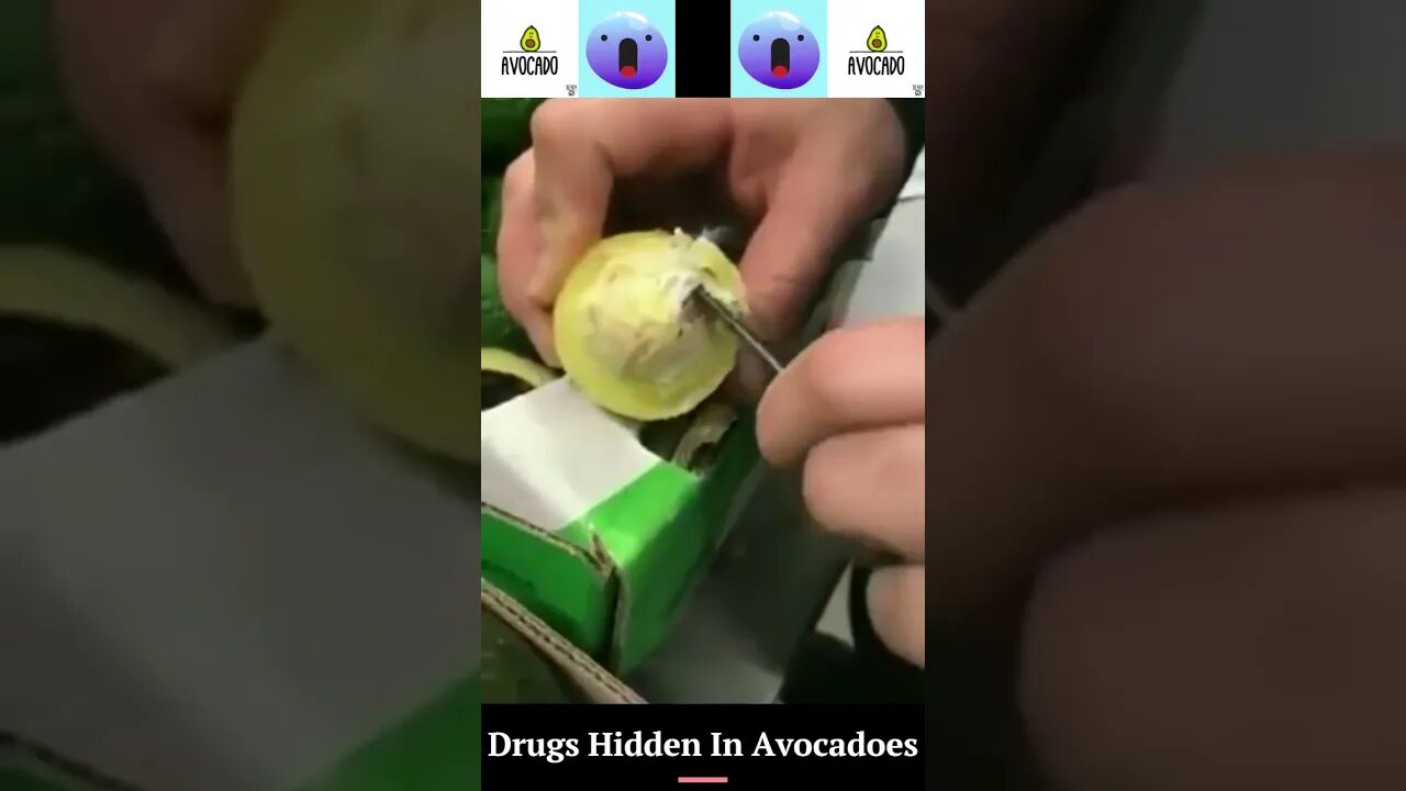 Hiding Cocaine In Avocadoes #shorts