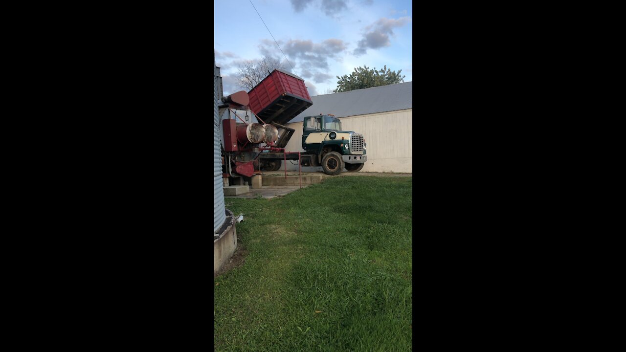 Anthony’s New Ford Truck 1978 Dumping Soybeans