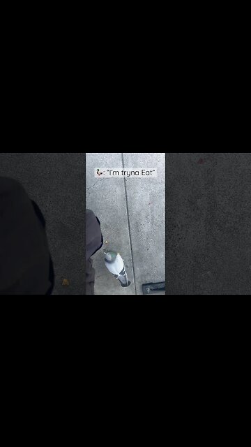 🦆 Just keep eating those Crackers 🍴 Legendary Bird 🦆 “Im tryna eat” 🦆Motivational #YoutubeShorts