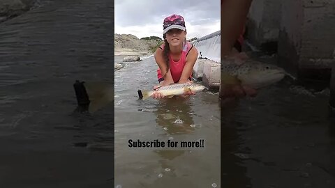 This young lady hooked a good brown and released it!! #trout #kidsfishing #polestaroutdoors