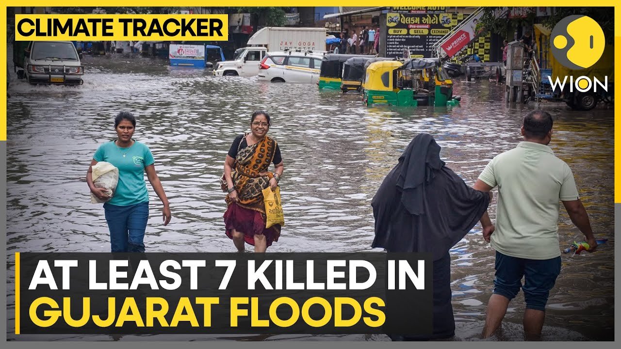 India: Heavy rains hit Gujarat, at least 7 killed | WION Climate Tracker