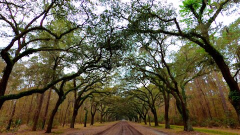 Savannah, Georgia, USA 2021