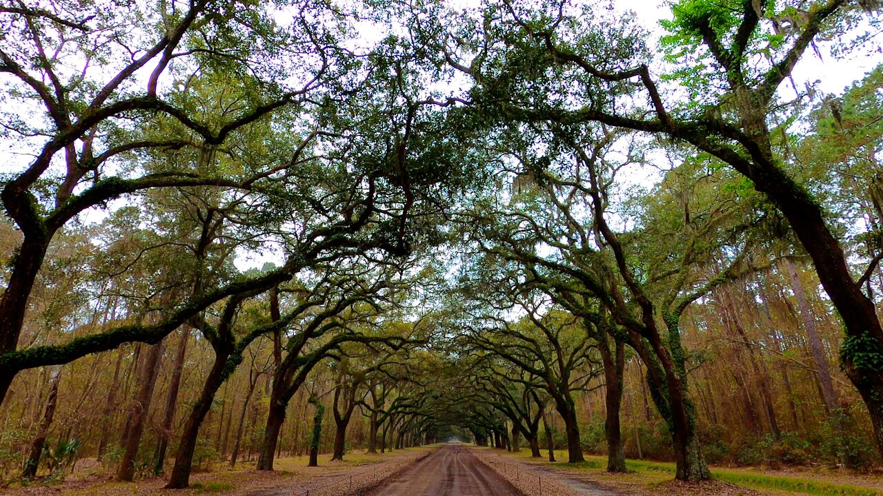 Savannah, Georgia, USA 2021