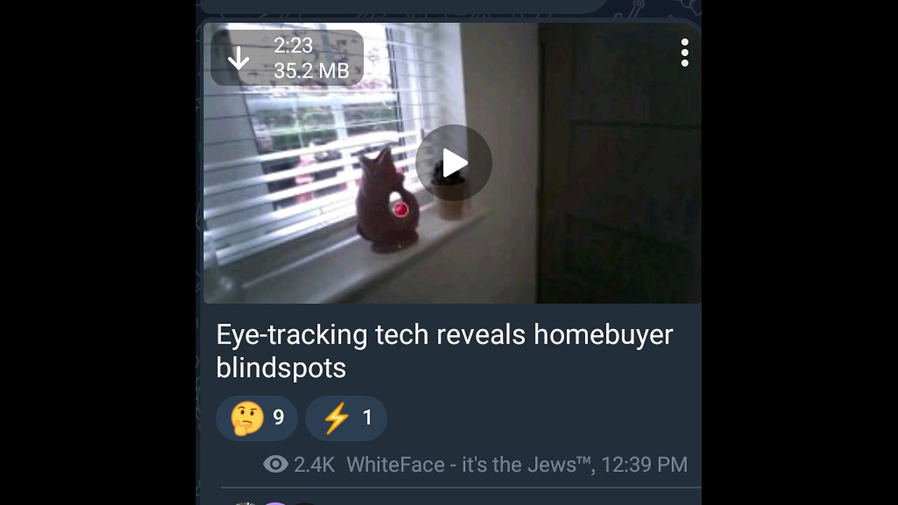 Documentary: Eye-Tracking Tech Reveals Homebuyer Blindspots