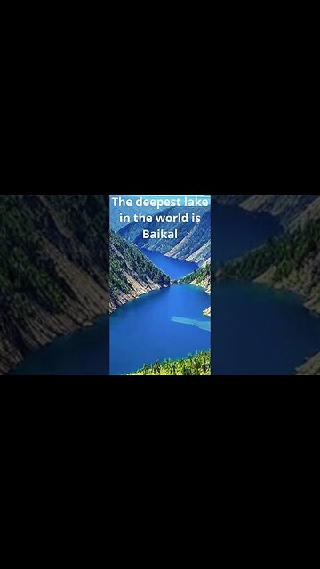 curiosities from the world #shorts