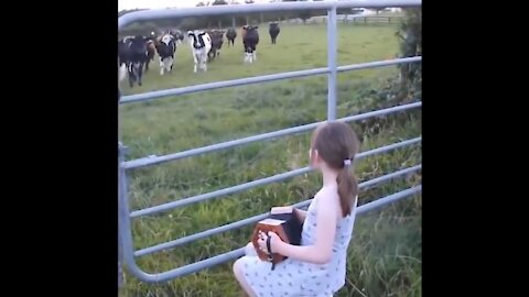 People Playing Music for Animals :)