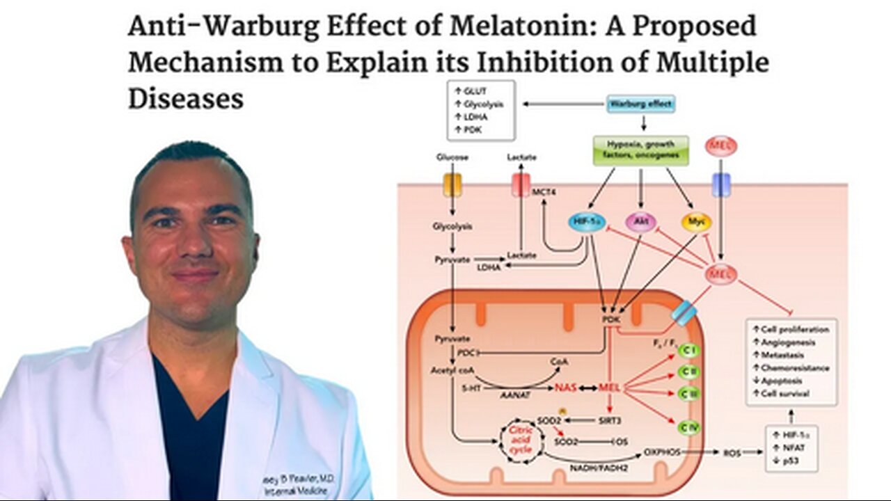 Melatonin KILLS Cancer: REVERSES Warburg Effect & INHIBITS Glucose