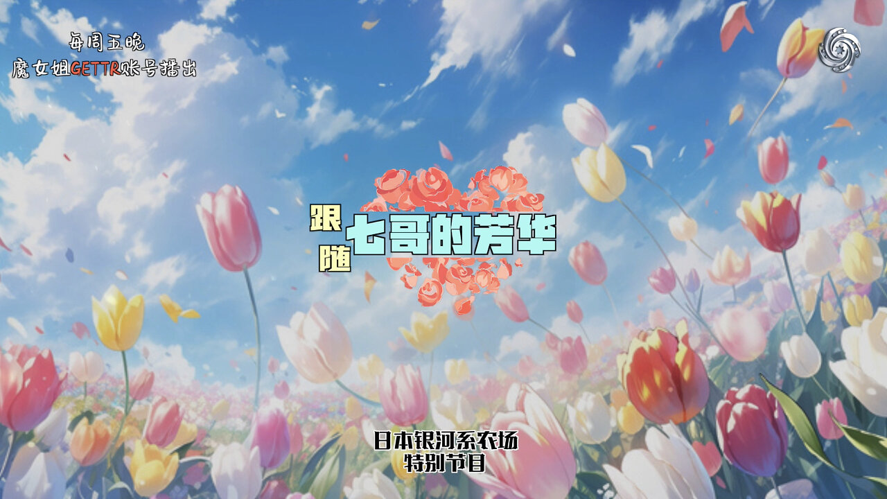 小飞象Aila专场💕🥰 银河系特别节目 《跟随七哥的芳华》《Follow Miles's Youth》2024.2.3 小蛋糕、小飞象Aila、小宇宙Hakuna NFSC Miles Guo Japan Galaxy Take Down the CCP Wengui Guo